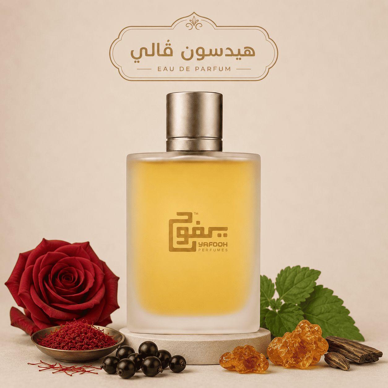 هيدسون ڤالي