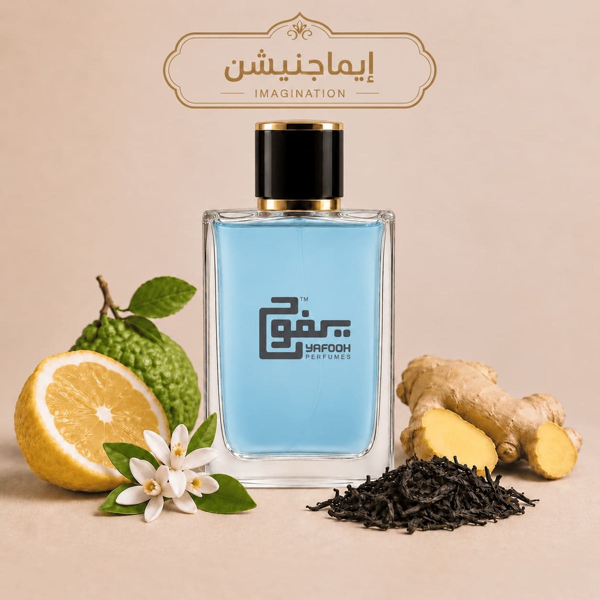 ايماجنيشن  "لويس فيتون"