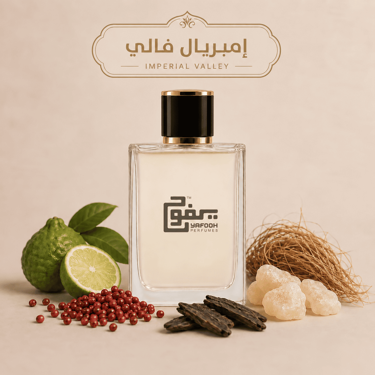 امبريال فالي " قصة" رجالي